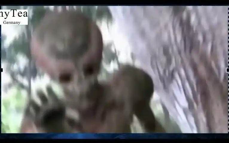 14个外星人未知生物被拍到可怕的画面