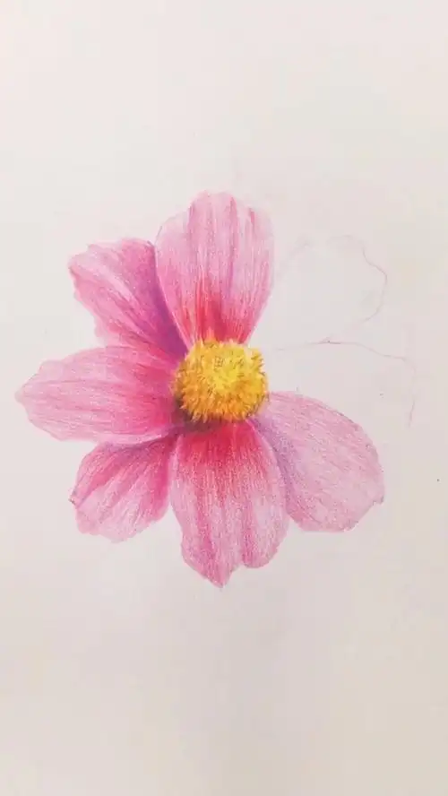 详细彩铅绘画步骤,简单易学,有手就行97