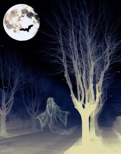 首都,半空,飞,天空,动物,万圣节,摄影,怪异,威胁,惊骇,彩图,窥视,鬼