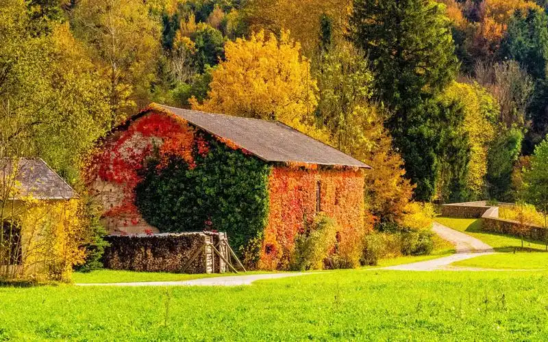 超美秋天山林自然风景高清图片壁纸高清大图预览1920×1200_风景壁纸