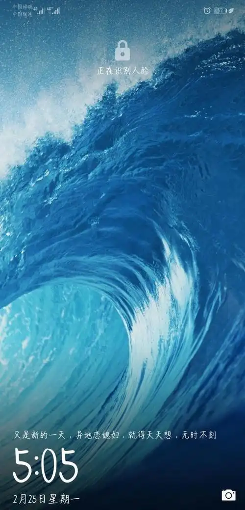 华为荣耀8x手机壁纸