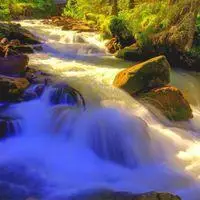 头象风景照_微信头像图片大全