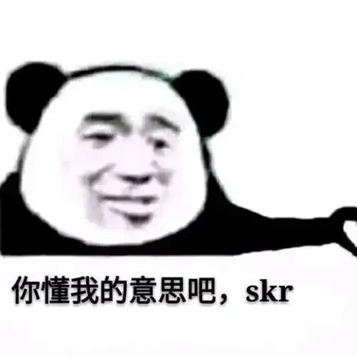 你懂我的意思吧,skr表情