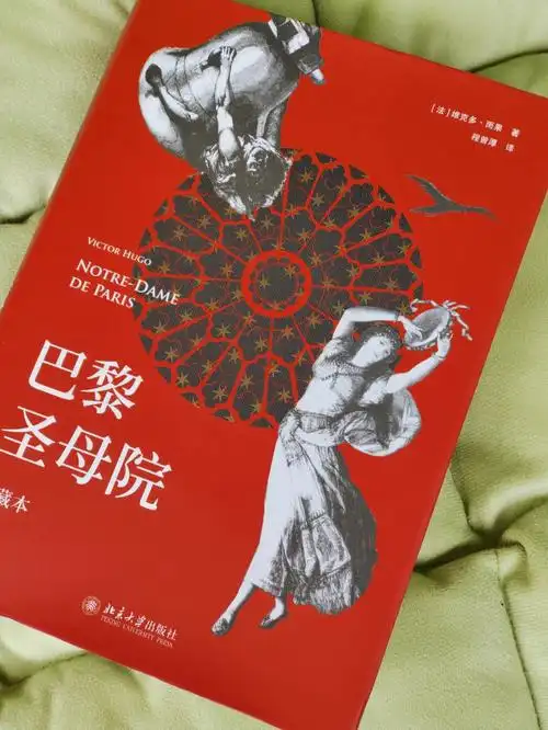 读书笔记巴黎圣母院