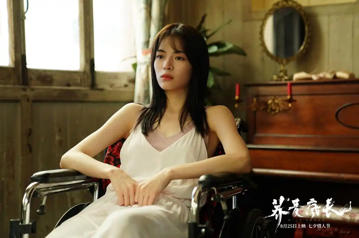 荞麦疯长今日上映钟楚曦涅盘重生演绎追梦舞者李麦