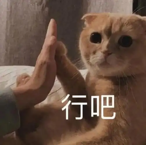 沙雕搞笑表情包:谁的脑子掉这了?