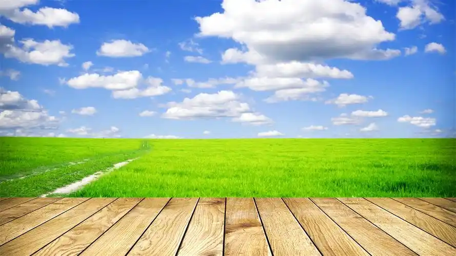 蓝天白云绿植护眼高清桌面壁纸