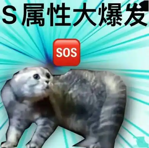 s属性爆发是什么意思 s属性大爆发表情包 - 916手游网