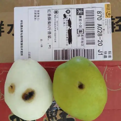 陕西红香酥梨 5斤 当季现摘 新鲜水果 梨子 脆梨 陈小四水果晒单图