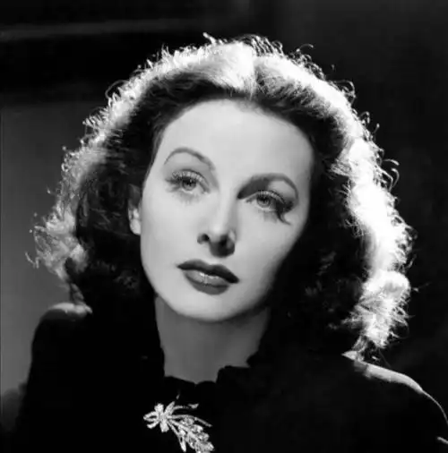 在那个年代,费雯·丽是十分耀眼的存在,她那双灰蓝色的眼睛既温情脉脉