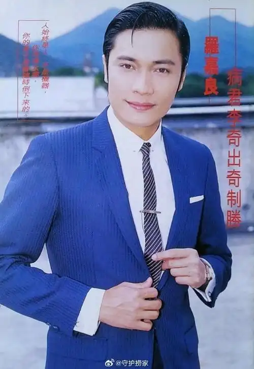 罗嘉良电视剧集介绍##罗嘉良