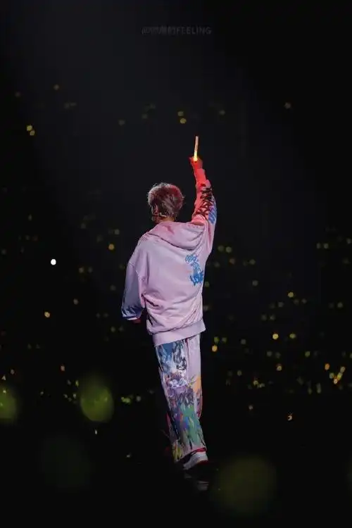 鹿晗演唱会背影图