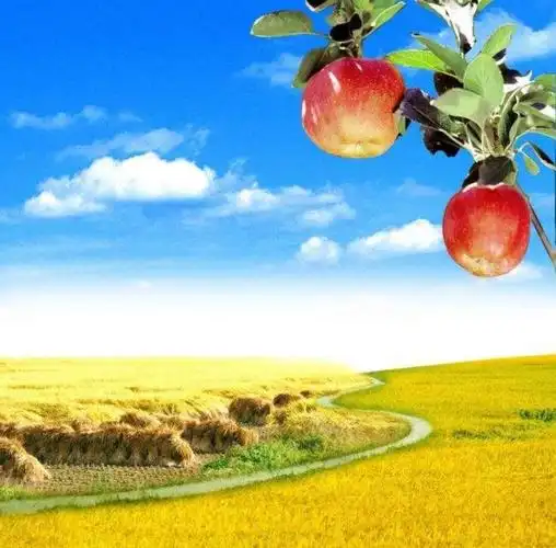 五谷丰登) 枫叶秋声暑气除,登云塔眺雁传书, 斑斓色彩丰收景,陶醉其中