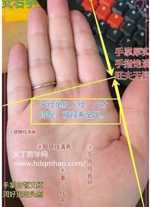 女人有这几种手相富贵满盈旺夫旺子