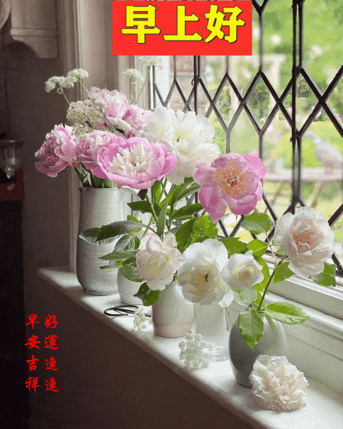 1080_1349竖版 竖屏gif 动态图 动图