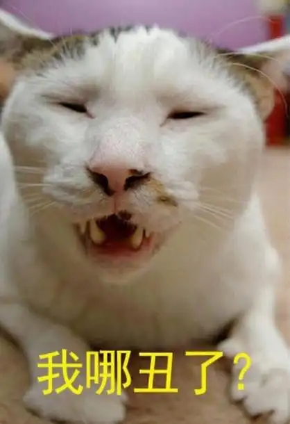 我哪丑了啊? - 近期热门无水印表情包_斗图表情