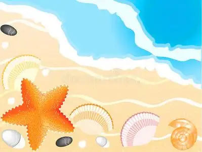 贝壳海滩插画-贝壳海滩手绘-贝壳海滩卡通图-摄图新视界