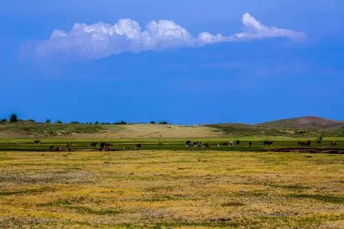 摄影 呼伦贝尔的云水柔情 写美篇呼伦贝尔草场主要有六大类:山地草甸