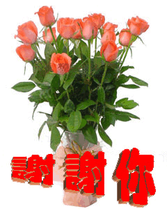 240_300竖版 竖屏gif 动态图 动图