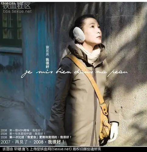 《为爱痴狂》—刘若英陈升的爱情故事:向来缘浅,奈何情深