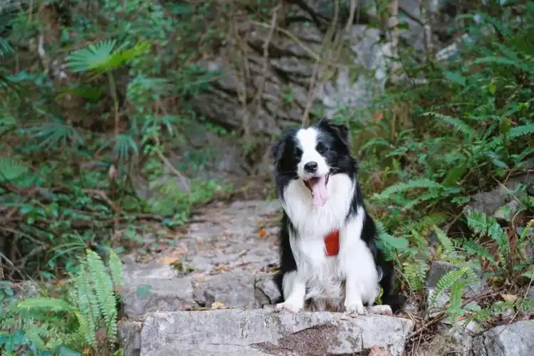 小七孔下午6点半出发到民宿约9点,会经过一小段没人阴森森的盘山公路