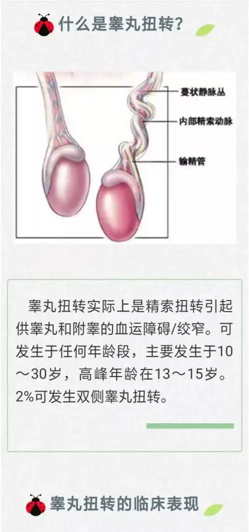 温州11岁男孩被迫割蛋蛋,家长千万要警惕.