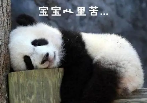 搞笑频道-手机搜狐