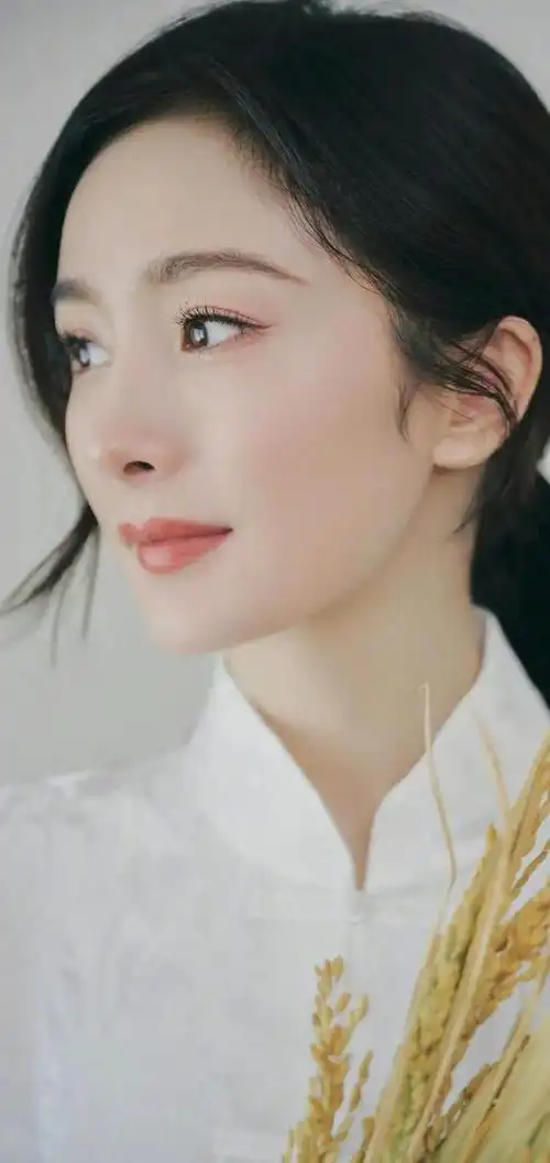 杨幂高清图片 第2595期_网易订阅