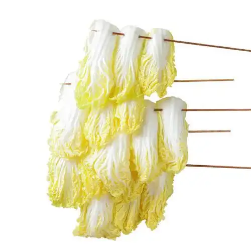 娃娃菜串 5串 烧烤食材户外露营半成品 - 木屋烧烤食品旗舰店