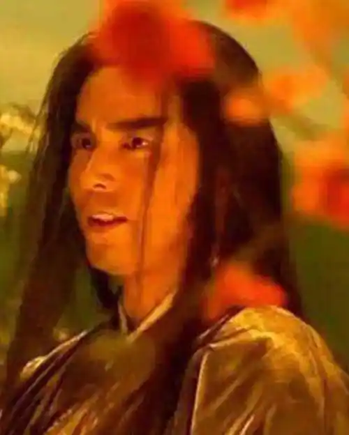 燕南天这个角色大家应该也有印象的吧,燕南天的扮演者是林瑞阳,林瑞阳