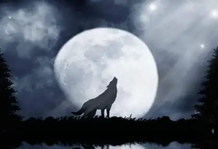 周末综艺看点:孙红雷惹哭阿拉蕾,潘粤明变身奥特曼,旅社调档!