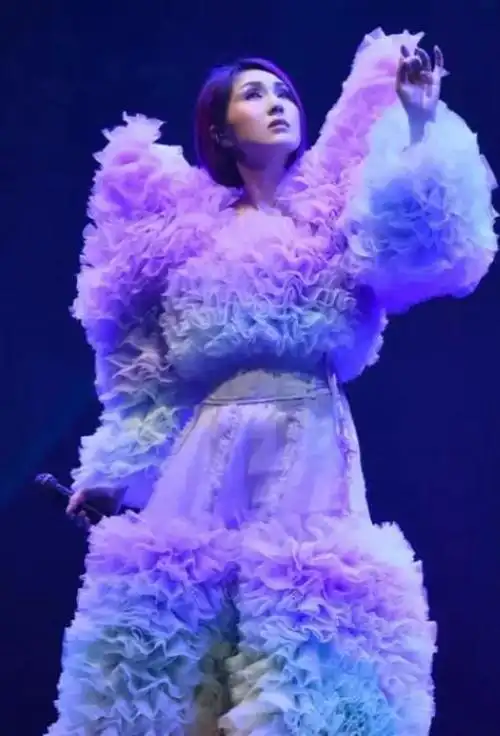 明目张胆杨千嬅夫妇回汕头开演唱会老公竟当面与女生手牵手