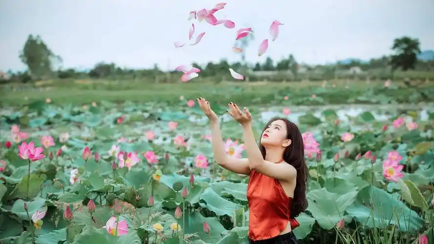 荷花荷塘女人扔粉色花瓣红肚兜4k高清美女壁纸