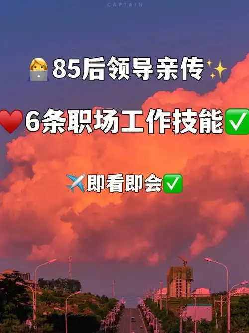 6985后领导亲传的78736条职场工作技能73