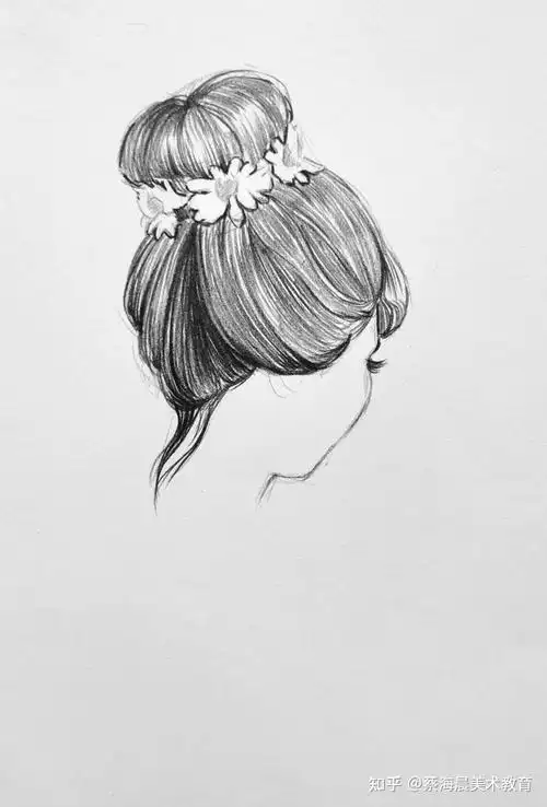 【素描丸子头】临摹步骤图教程 - 知乎