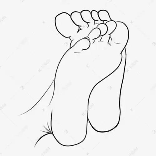 两只交叠在一起的脚掌