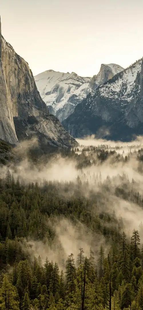 壁纸 风景 1080_2340 竖版 竖屏 手机