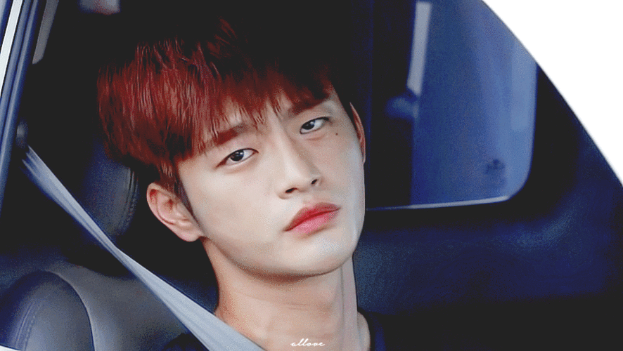 《从天而降的一亿颗星星》,金武英太有人格魅力,我现在看到徐仁国的脸