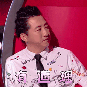 中国好声音 庾澄庆 有道理 赞