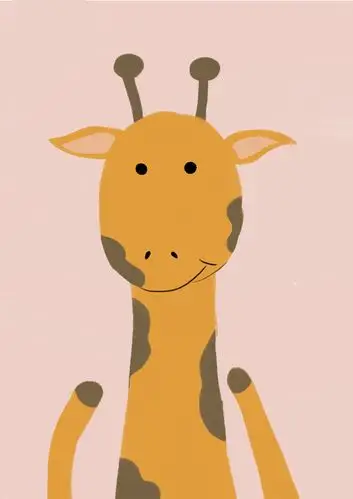 可爱的小动物看着你