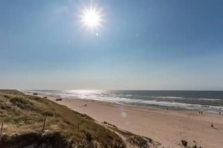沙滩上的金色太阳,图片,壁纸,自然风景-桌酷