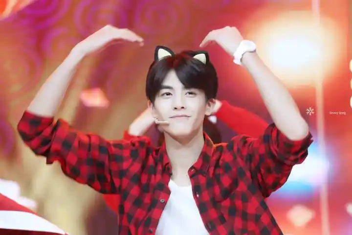 宋威龙天天向上大写的卖萌