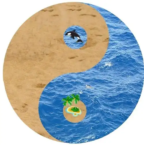 持续赢销的太极战略