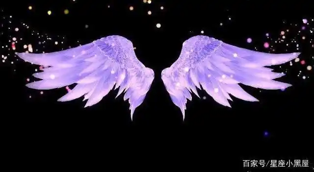 十二星座最梦幻的叶罗丽翅膀摩羯座的霸气天蝎座的最炫酷