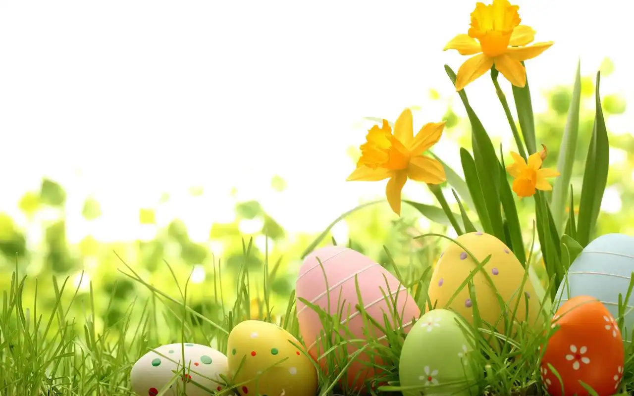 小清新创意护眼高清桌面壁纸