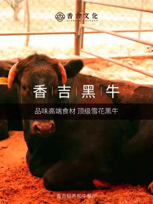 香吉雪花黑牛区别与吃法建议收藏
