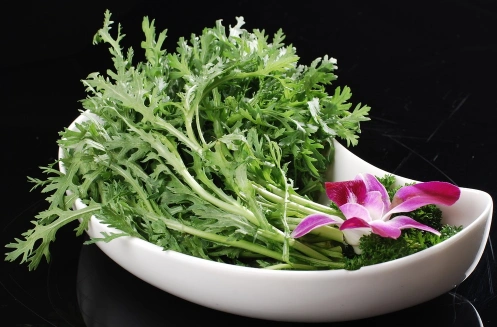 茼蒿开花了还能吃吗茼蒿开花了怎么做好吃