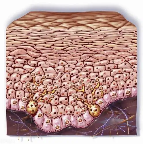 养出丝滑肌肤!身体养护的小秘诀