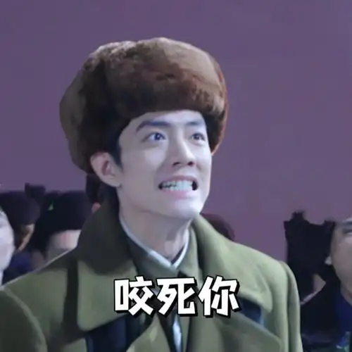 谁提极乐净土肖战和谁急##肖战表情包