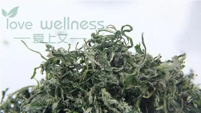 上海伊道爱上艾